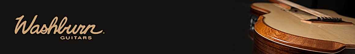 washburn-acoustic.jpg