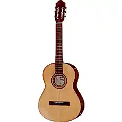 Klasik Gitar