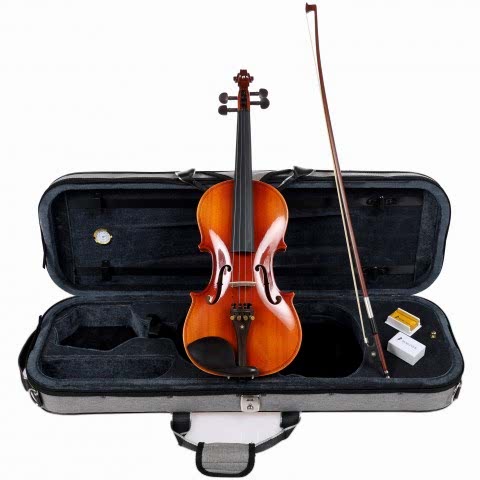 Bergner BEV-100-24 1/2 Keman