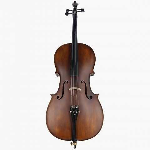 Carlovy CLA6 Çello 2/4