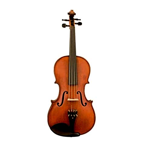 Carlovy VAA4 Viyola 15