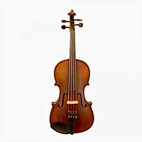 Carlovy VAA6 Viyola 15