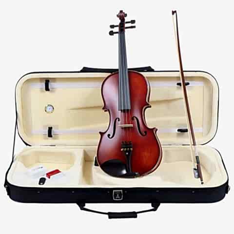 Carlovy VAA8 Viyola 15