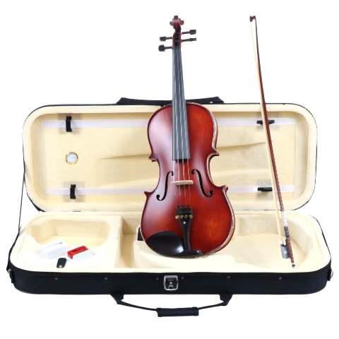 Carlovy VAA8 Viyola 16