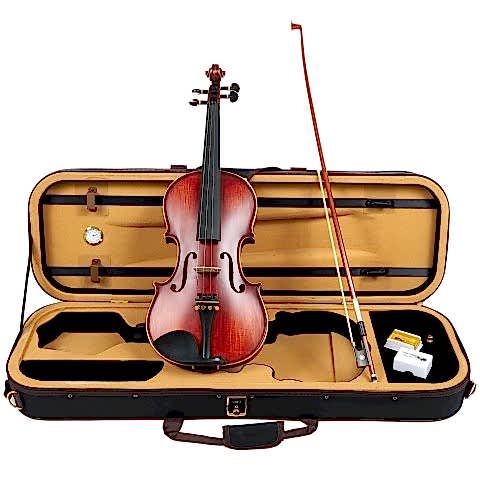 Carlovy VLA8 Keman 1/16