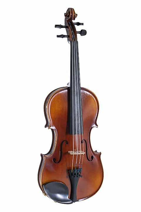 Gewa Allegro VL1 4/4 Keman