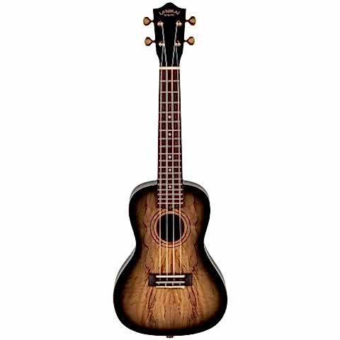 Laniikai Limited Edition SMBB-CX Spalted Maple Concert Ukulele