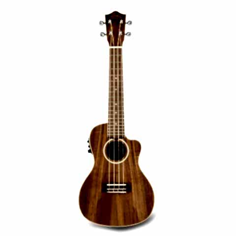 Lanikai ACST-CEC Acacia Concert Elektro Ukulele