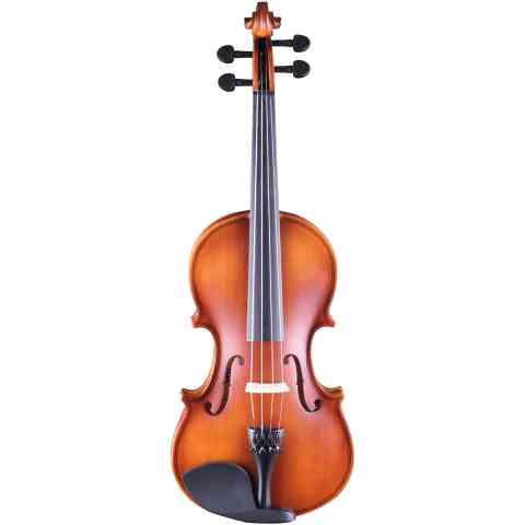 Rosa RV018M 1/8 Mat Cila Keman