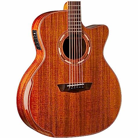 Washburn Comfort Serisi WCG55CE Elektro Akustik Gitar