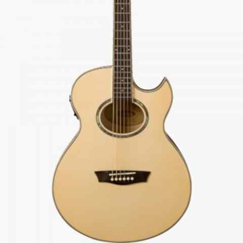 Washburn EA20 Elektro Akustik Gitar